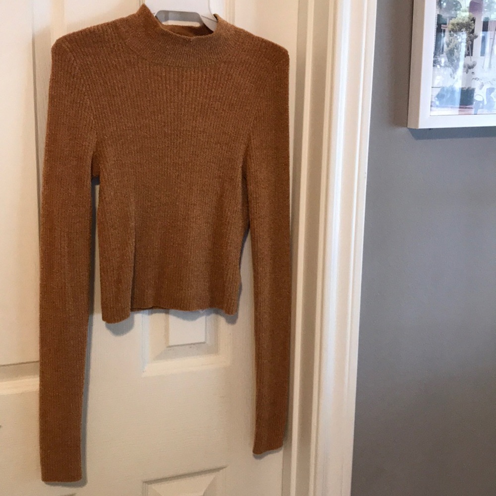 Brown-ish turtle neck